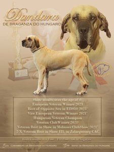 EDS10 Dandara fila brasileiro eredmények flyers