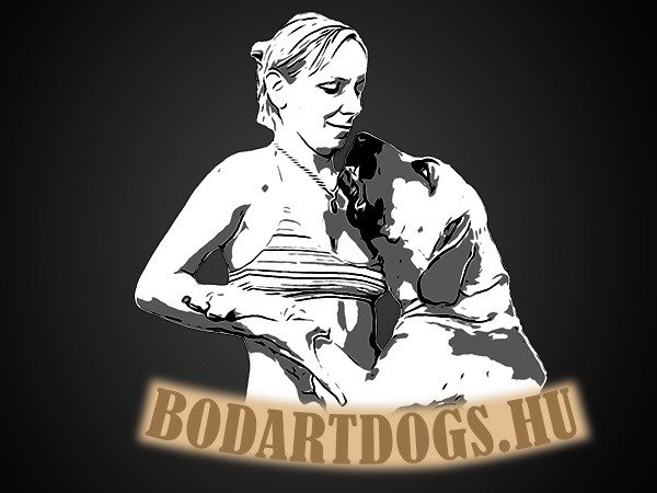 bodartdogs