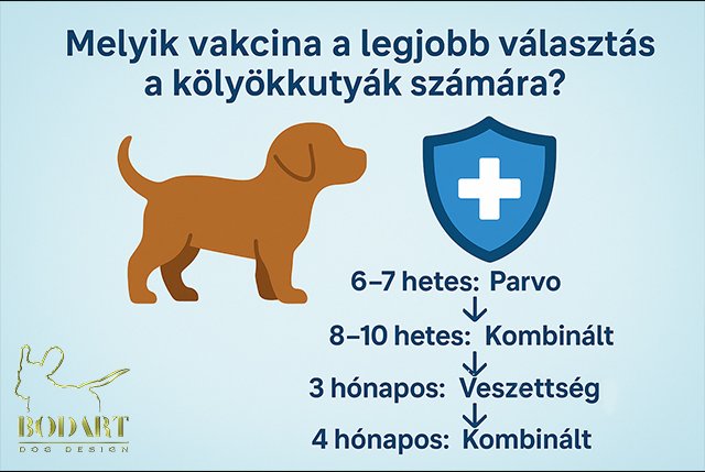 kölyökkutya oltási program