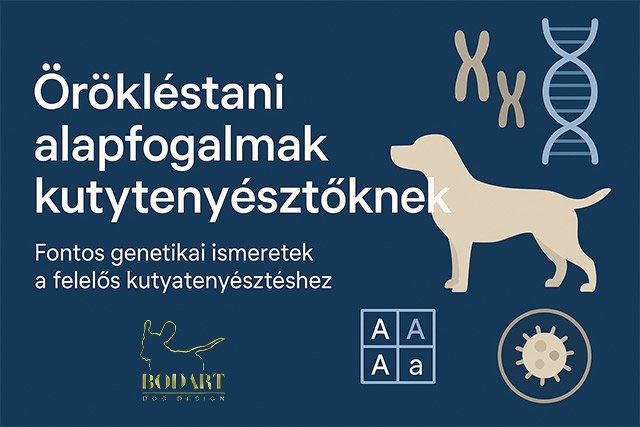 kutyatenyésztés - örökléstani alapfogalmak