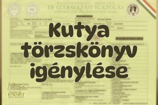 kutya törzskönyv igénylése