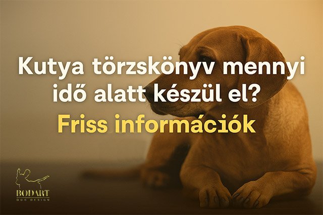 Kutya törzskönyv mennyi idő alatt készül el?