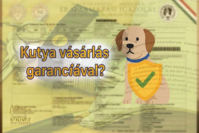 kölyök vásárlás garanciával