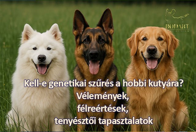 Kell e a genetikai szűrés?